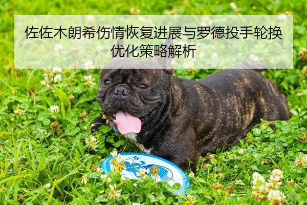 zuo-zuo-mu-lang-xi-shang-qing-hui-fu-jin-zhan-yu-luo-de-tou-shou-lun-huan-you-hua-ce-lve-jie-xi-2-475.jpg